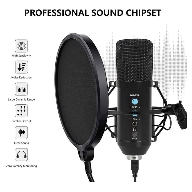 Microfono Condensador Profesional Bm858tz Usb