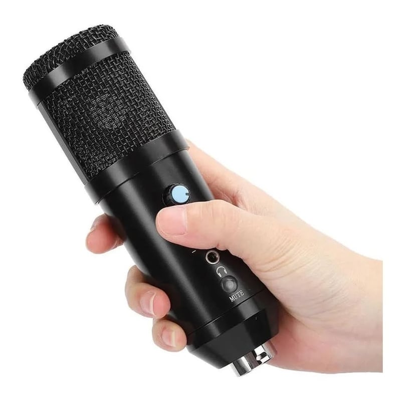 Microfono Condensador Profesional Bm858tz Usb