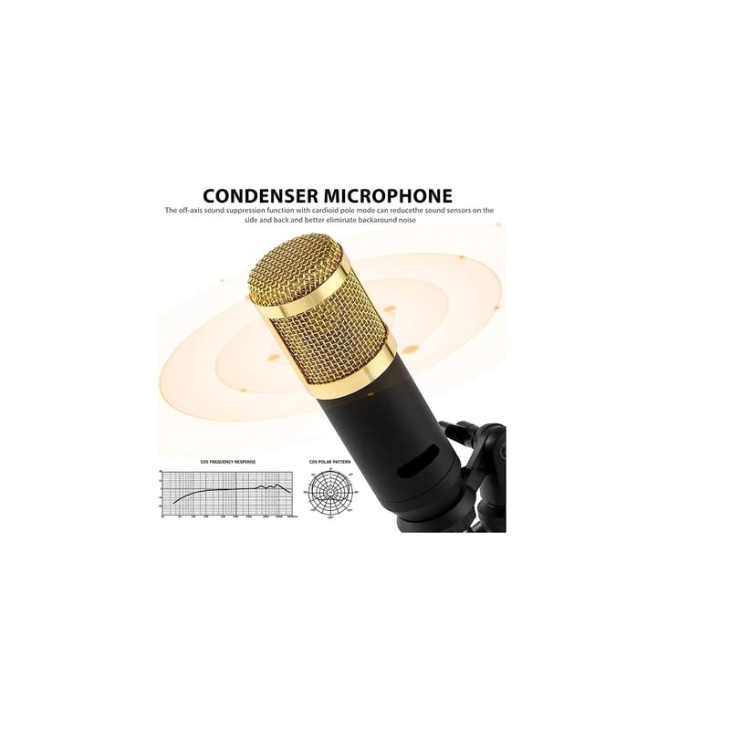 Micrófono condensador con consola profesional para grabación 646