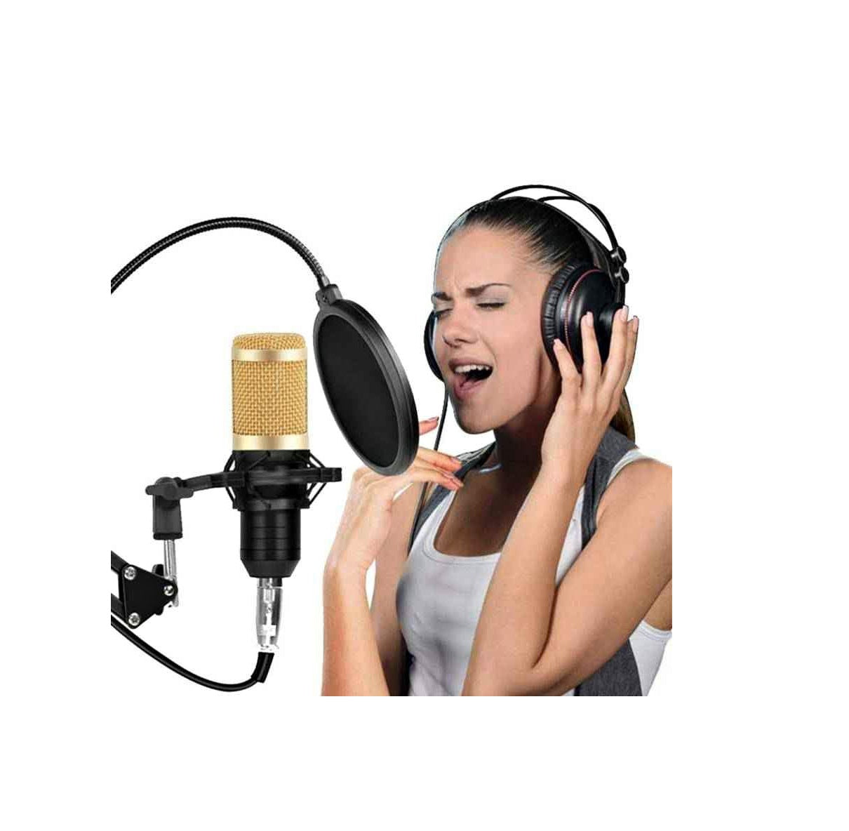 Micrófono Condensador Profesional Usb - BM-838TZ