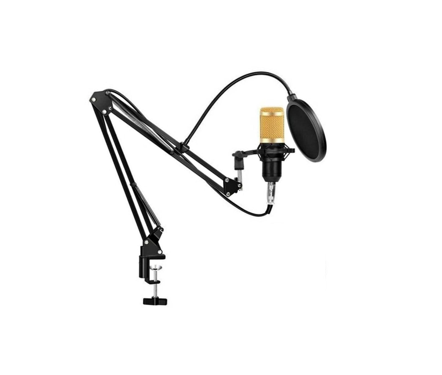 Micrófono Condensador Profesional Usb - BM-838TZ