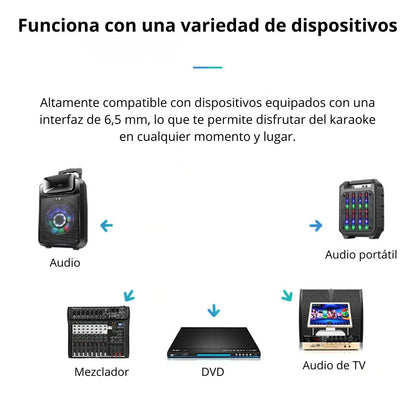 Micrófono Con Cable Seisa Para Karaoke Y Amplificador - MOD: M-58