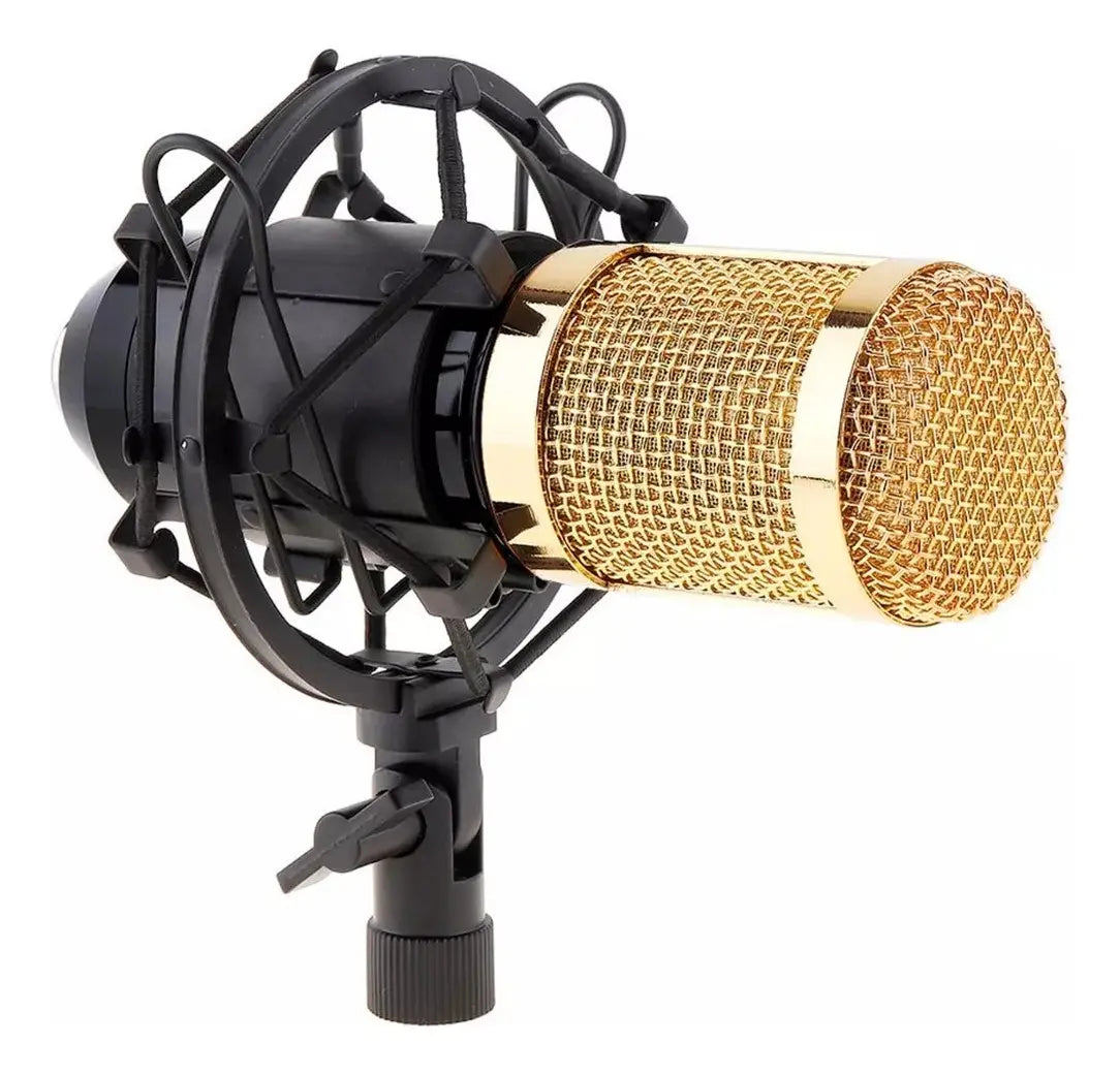 Kit Micrófono Condensador Profesional Brazo Soporte 2 DORADO - MOD: BM-800TZ