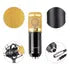 Kit Micrófono Condensador Profesional Brazo Soporte 2 DORADO - MOD: BM-800TZ
