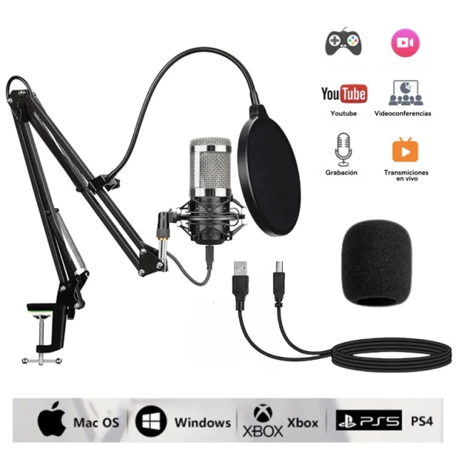 Kit Micrófono Condensador Profesional Brazo Soporte 2 PLATEADO - MOD: BM-800TZ