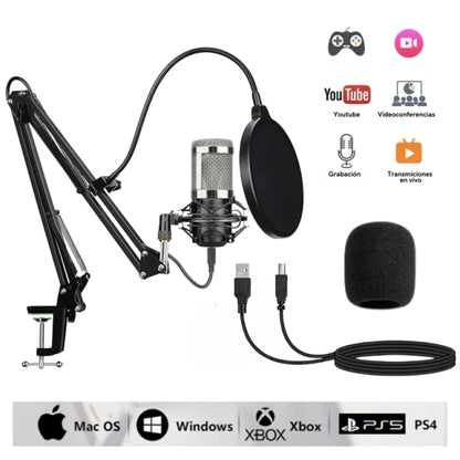 Kit Micrófono Condensador Profesional Brazo Soporte 2 PLATEADO - MOD: BM-800TZ