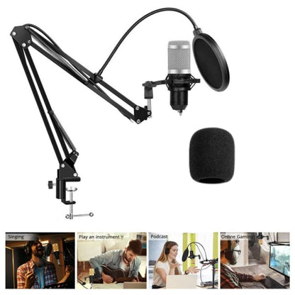 Kit Micrófono Condensador Profesional Brazo Soporte 2 PLATEADO - MOD: BM-800TZ
