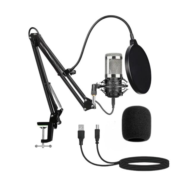 Kit Micrófono Condensador Profesional Brazo Soporte 2 PLATEADO - MOD: BM-800TZ