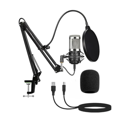 Kit Micrófono Condensador Profesional Brazo Soporte 2 PLATEADO - MOD: BM-800TZ