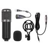 Kit Micrófono Condensador Profesional Brazo Soporte 2 - BM-800TZ
