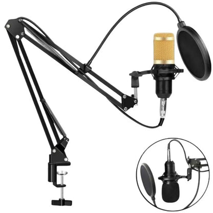 Kit Micrófono Condensador Profesional Brazo Soporte 2 DORADO - MOD: BM-800TZ
