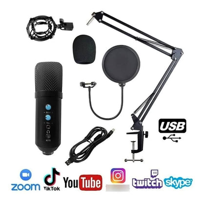 Kit de Microfono Condensador Profesional Usb - MOD: BM-858TZ